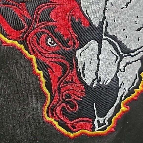 Chicago Bulls Jordan Goat Graphic Jersey Size‎ Large NWT Brand X - Picture 6 of 10